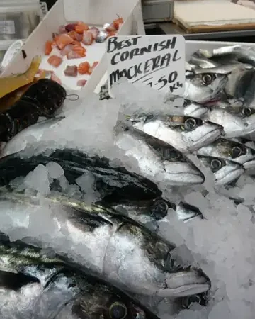 Uskumru balığı